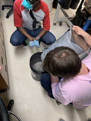 BGS 2004 Catalyst Change